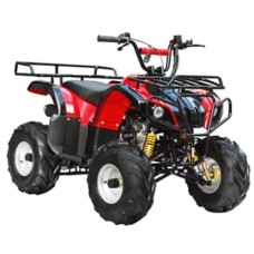 110cc quad bike